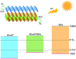 Graphical abstract: Electronic structures and enhanced photocatalytic properties of blue phosphorene/BSe van der Waals heterostructures