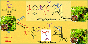 Graphical abstract: An in situ approach for the synthesis of a gum ghatti-g-interpenetrating terpolymer network hydrogel for the high-performance adsorption mechanism evaluation of Cd(ii), Pb(ii), Bi(iii) and Sb(iii)