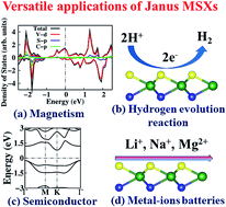 Graphical abstract: Electronic, magnetic, catalytic, and electrochemical properties of two-dimensional Janus transition metal chalcogenides