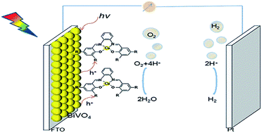 Graphical abstract: Molecular cobalt salophen catalyst-integrated BiVO4 as stable and robust photoanodes for photoelectrochemical water splitting