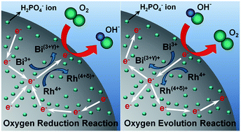 Graphical abstract: Highly efficient bifunctional catalytic activity of bismuth rhodium oxide pyrochlore through tuning the covalent character for rechargeable aqueous Na–air batteries