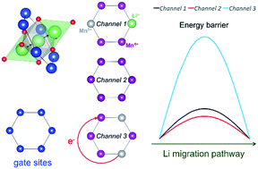 Graphical abstract: Insight into fast Li diffusion in Li-excess spinel lithium manganese oxide