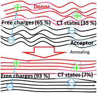 Graphical abstract: Thermal annealing reduces geminate recombination in TQ1:N2200 all-polymer solar cells