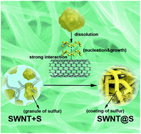 Graphical abstract: A general dissolution–recrystallization strategy to achieve sulfur-encapsulated carbon for an advanced lithium–sulfur battery
