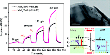 Graphical abstract: UV assisted ultrasensitive trace NO2 gas sensing based on few-layer MoS2 nanosheet–ZnO nanowire heterojunctions at room temperature