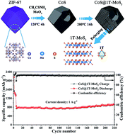 Graphical abstract: Metallic 1T phase MoS2 nanosheets decorated hollow cobalt sulfide polyhedra for high-performance lithium storage