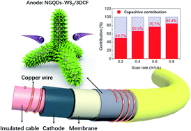 Graphical abstract: 3D carbon foam-supported WS2 nanosheets for cable-shaped flexible sodium ion batteries