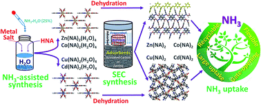 Graphical abstract: Environmentally friendly synthesis of flexible MOFs M(NA)2 (M = Zn, Co, Cu, Cd) with large and regenerable ammonia capacity