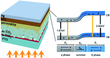 Graphical abstract: A fluorine-modulated bulk-phase heterojunction and tolerance factor for enhanced performance and structure stability of cesium lead halide perovskite solar cells