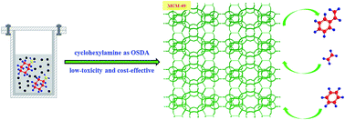 Graphical abstract: Direct synthesis of three-dimensional MWW zeolite with cyclohexylamine as an organic structure-directing agent