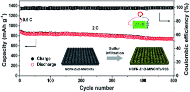 Graphical abstract: Metal oxide nanoprism-arrays assembled in N-doped carbon foamy nanoplates that have efficient polysulfide-retention for ultralong-cycle-life lithium–sulfur batteries