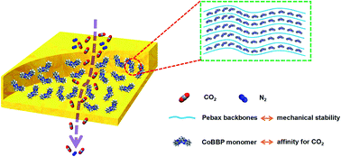 Graphical abstract: Biomimetic material functionalized mixed matrix membranes for enhanced carbon dioxide capture