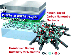 Graphical abstract: Polymeric acid-doped transparent carbon nanotube electrodes for organic solar cells with the longest doping durability