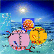 Graphical abstract: Interstitial charge transfer pathways in a TiO2/CdIn2S4 heterojunction photocatalyst for direct conversion of sunlight into fuel