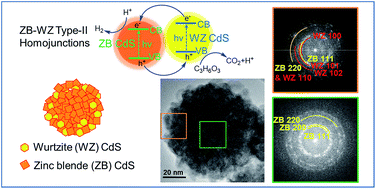 Graphical abstract: PVP-capped CdS nanopopcorns with type-II homojunctions for highly efficient visible-light-driven organic pollutant degradation and hydrogen evolution
