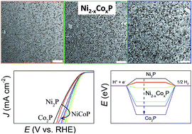 Graphical abstract: Colloidal Ni2−xCoxP nanocrystals for the hydrogen evolution reaction