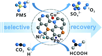 Graphical abstract: Adsorptive catalysis of hierarchical porous heteroatom-doped biomass: from recovered heavy metal to efficient pollutant decontamination