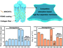Graphical abstract: Competitive adsorption for simultaneous removal of emulsified water and surfactants from mixed surfactant-stabilized emulsions with high flux