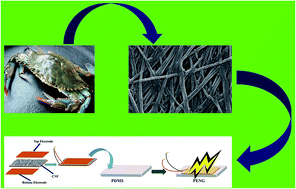 Graphical abstract: Biowaste crab shell-extracted chitin nanofiber-based superior piezoelectric nanogenerator