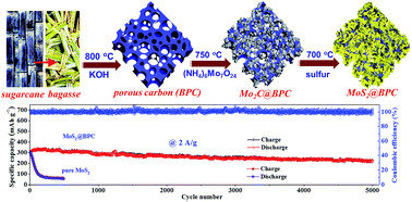 Graphical abstract: Mo2C-induced solid-phase synthesis of ultrathin MoS2 nanosheet arrays on bagasse-derived porous carbon frameworks for high-energy hybrid sodium-ion capacitors