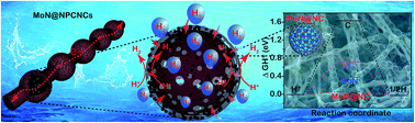 Graphical abstract: Engineering the nanostructure of molybdenum nitride nanodot embedded N-doped porous hollow carbon nanochains for rapid all pH hydrogen evolution