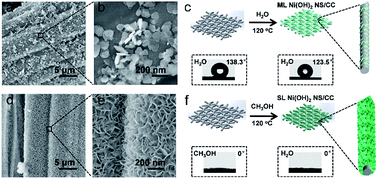 Graphical abstract: In situ growth of single-layered α-Ni(OH)2 nanosheets on a carbon cloth for highly efficient electrocatalytic oxidation of urea