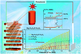 Graphical abstract: Facile regrowth of Mg-Fe2O3/P-Fe2O3 homojunction photoelectrode for efficient solar water oxidation