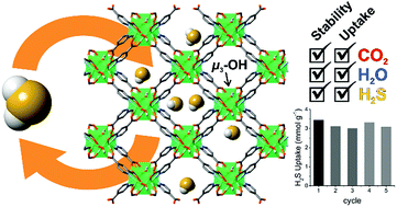 Graphical abstract: Highly reversible sorption of H2S and CO2 by an environmentally friendly Mg-based MOF