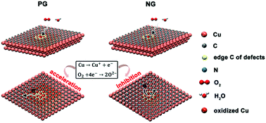 Graphical abstract: N-doping of graphene: toward long-term corrosion protection of Cu