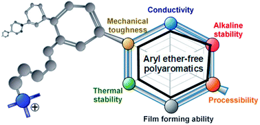 Graphical abstract: Quaternized aryl ether-free polyaromatics for alkaline membrane fuel cells: synthesis, properties, and performance – a topical review