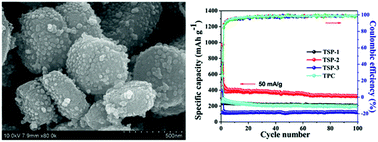 Graphical abstract: TiO2 nanocrystals embedded in sulfur-doped porous carbon as high-performance and long-lasting anode materials for sodium-ion batteries