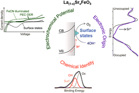Graphical abstract: Linking surface chemistry to photovoltage in Sr-substituted LaFeO3 for water oxidation