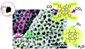Graphical abstract: Coral-like hierarchical carbon nanoarchitectures loaded with Rh- and Co-porphyrins as high-efficiency electrodes: effect of pore morphology on CO oxidation and oxygen reduction performance
