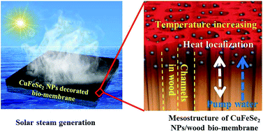 Graphical abstract: Narrow bandgap semiconductor decorated wood membrane for high-efficiency solar-assisted water purification