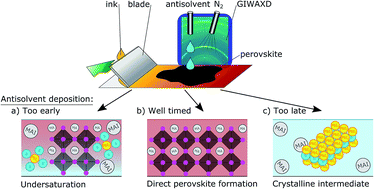 Graphical abstract: Antisolvent processing of lead halide perovskite thin films studied by in situ X-ray diffraction