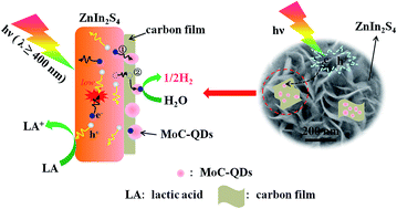 Graphical abstract: Well dispersed MoC quantum dots in ultrathin carbon films as efficient co-catalysts for photocatalytic H2 evolution