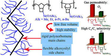 Graphical abstract: Janus tricyclononene polymers bearing tri(n-alkoxy)silyl side groups for membrane gas separation