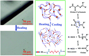 Graphical abstract: A facile dynamic crosslinked healable poly(oxime-urethane) elastomer with high elastic recovery and recyclability