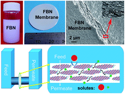 Graphical abstract: Functionalized boron nitride membranes with multipurpose and super-stable semi-permeability in solvents
