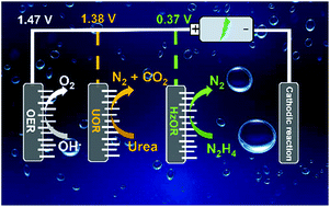 Graphical abstract: In situ formation of Ni3Se4 nanorod arrays as versatile electrocatalysts for electrochemical oxidation reactions in hybrid water electrolysis