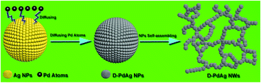 Graphical abstract: Surface Pd-rich PdAg nanowires as highly efficient catalysts for dehydrogenation of formic acid and subsequent hydrogenation of adiponitrile