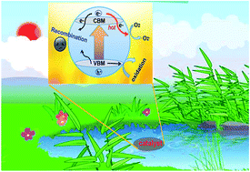 Graphical abstract: Cerium-based hybrid nanorods for synergetic photo-thermocatalytic degradation of organic pollutants