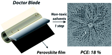 Graphical abstract: Defect tolerant perovskite solar cells from blade coated non-toxic solvents