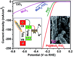 Graphical abstract: Strongly enhanced visible light photoelectrocatalytic hydrogen evolution reaction in an n-doped MoS2 /TiO2(B) heterojunction by selective decoration of platinum nanoparticles at the MoS2 edge sites