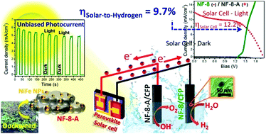 Graphical abstract: High performance duckweed-derived carbon support to anchor NiFe electrocatalysts for efficient solar energy driven water splitting