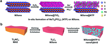 Graphical abstract: In situ formation of NaTi2(PO4)3 cubes on Ti3C2 MXene for dual-mode sodium storage