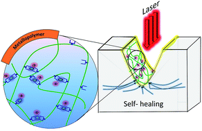 Graphical abstract: Femtosecond laser-induced scratch ablation as an efficient new method to evaluate the self-healing behavior of supramolecular polymers