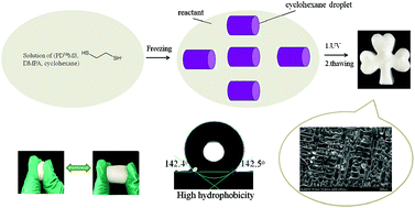 Graphical abstract: Highly compression-tolerant and durably hydrophobic macroporous silicone sponges synthesized by a one-pot click reaction for rapid oil/water separation