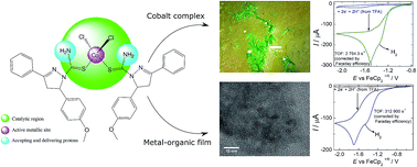 Graphical abstract: Electroreduction of a CoII coordination complex producing a metal–organic film with high performance toward electrocatalytic hydrogen evolution