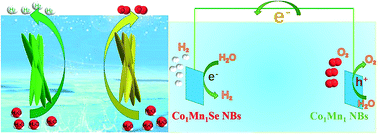 Graphical abstract: Constructing bundle-like Co-Mn oxides and Co-Mn selenides for efficient overall water splitting